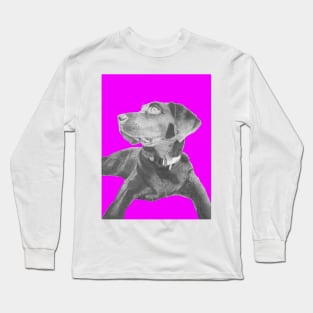 Black Labrador Retriever in Pink Long Sleeve T-Shirt